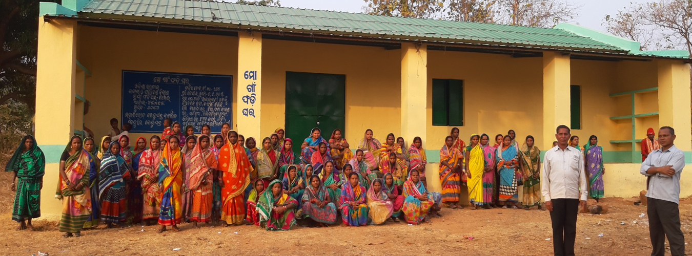 Kendu Leaf Organisation, Odisha