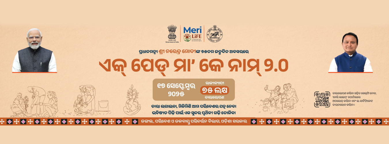 Kendu Leaf Organisation, Odisha